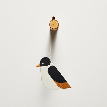 Ptak drewniany - Muchołówka