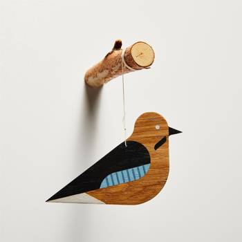 Ptak drewniany - Sójka